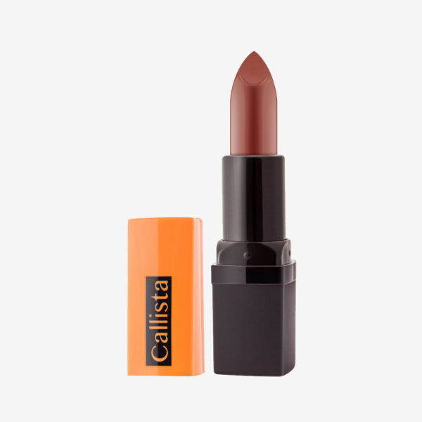رژ لب جامد کالر ریچ کالیستا کد Callista Color Rich Lipstick L53